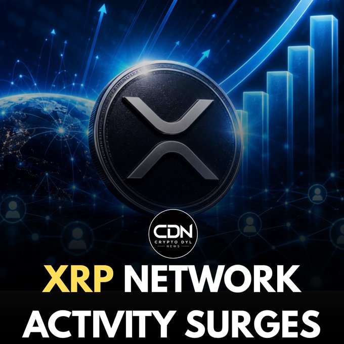 A digital coin featuring the XRP logo sits center stage against a futuristic blue background with rising bar graphs, network nodes, and a view of Earth, accompanied by the "CDN Crypto Daily News" watermark and bold text reading "XRP NETWORK ACTIVITY SURGES," visually reinforcing the post's announcement of increased activity on the XRP network.