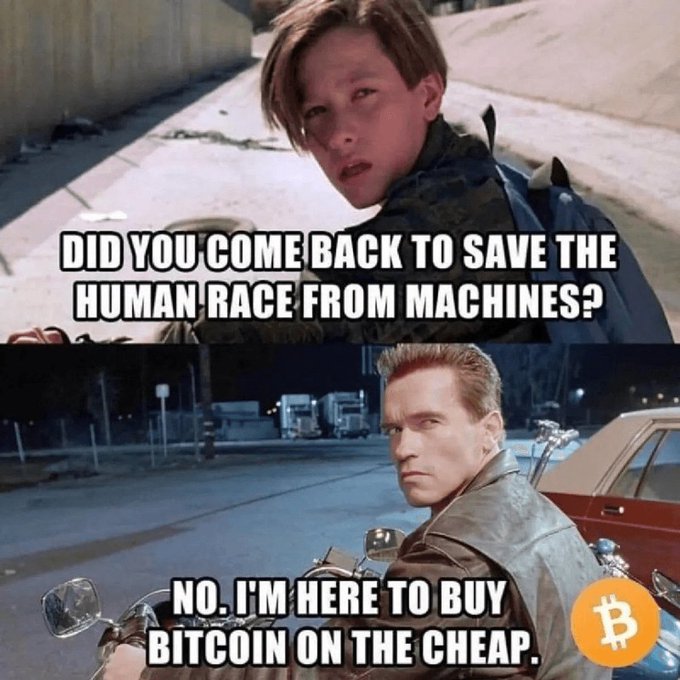 A meme from the Terminator film featuring John Connor asking 'DID YOU COME BACK TO SAVE THE HUMAN RACE FROM MACHINES?' and the T-800 replying 'NO, I'M HERE TO BUY BITCOIN ON THE CHEAP.' alongside a Bitcoin logo.