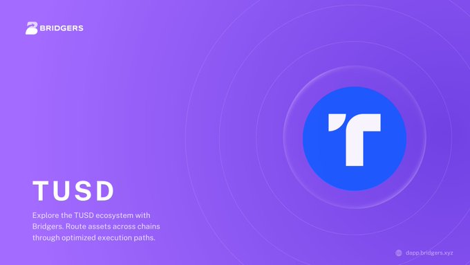 A purple promotional graphic features the 'TUSD' logo with text reading 'Explore the TUSD ecosystem with Bridgers. Route assets across chains through optimized execution paths.' and the Bridgers logo at app.bridgers.xyz.