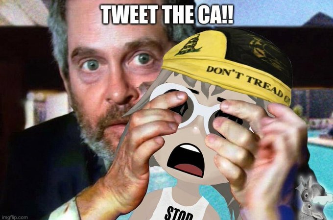 A meme featuring a startled man behind a crying cartoon character in a 'DON'T TREAD ON ME' hat, with text reading 'TWEET THE CA!!'