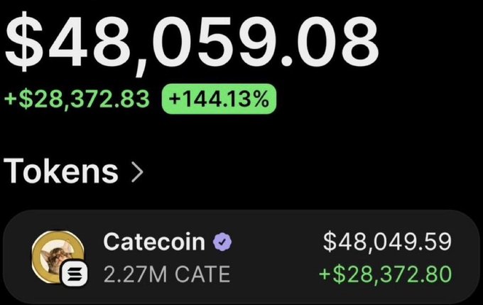 A crypto portfolio screenshot showing $48,059.08 in profits with a +144.13% gain from a Catecoin ($CATE) investment of 2.27M CATE tokens, illustrating the post's claim about turning a small initial investment into substantial returns.