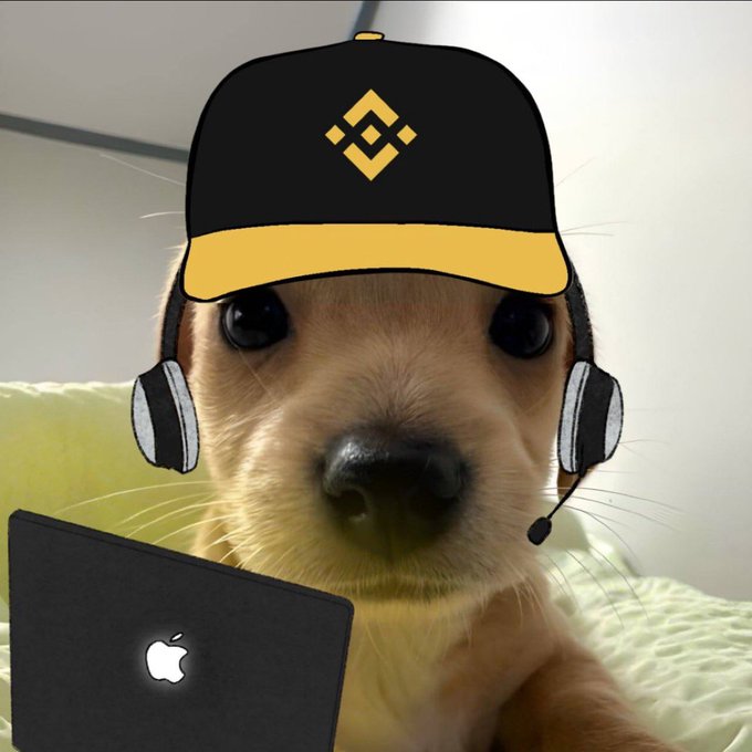 The image features a small brown dog wearing headphones, with an Apple laptop computer placed next to its head. The caption of the image reads "start working. $ Billy in USDC". This suggests that the dog might be participating in some sort of online event or competition related to dogs and technology.