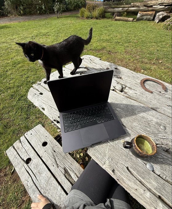A black cat curiously steps near an open laptop on a weathered wooden picnic table outdoors, while a person relaxes with what appears to be a matcha drink nearby—capturing the peaceful, slow Sunday vibe of "gm team x."