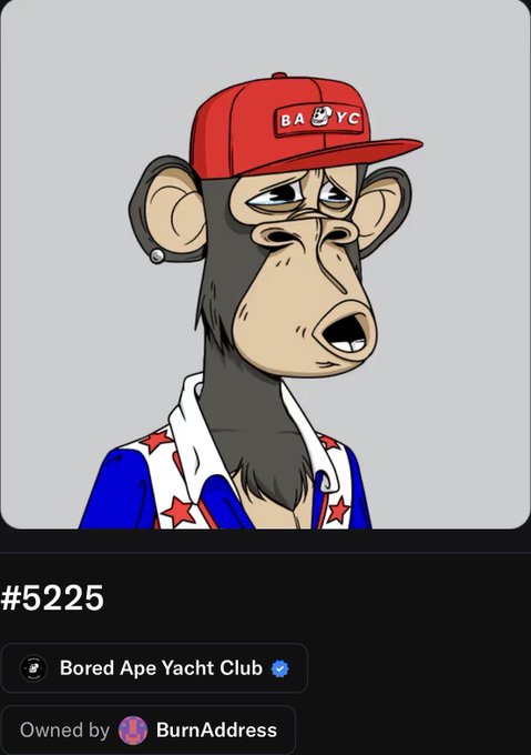 A Bored Ape Yacht Club NFT (#5225) showing a cartoon monkey wearing a red 'BAYC' cap and a star-patterned shirt, owned by BurnAddress.