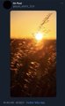 A small, dark thumbnail showing a sunset over water with some text overlay at the top that is too small to read clearly.