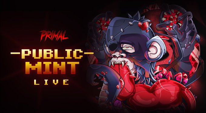 A promotional graphic for "PRIMAL" features a snarling, blood-drenched chimpanzee with glowing red eyes and exposed fangs devouring an anatomical heart, with the pixelated text "PUBLIC MINT LIVE" displayed prominently on the left side against a dark background. The menacing artwork visually reinforces the announcement that the public minting phase is now open for the Primal NFT collection.