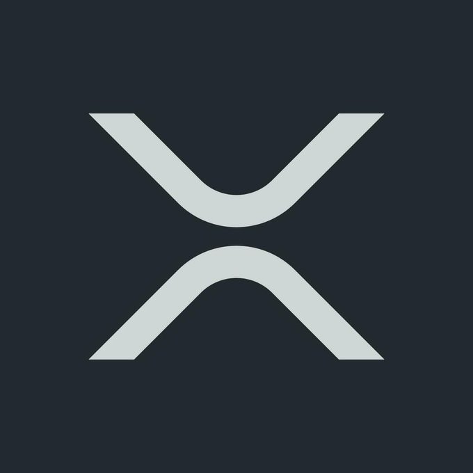 Minimalist logo featuring a stylized white 'X' symbol on a dark navy background.