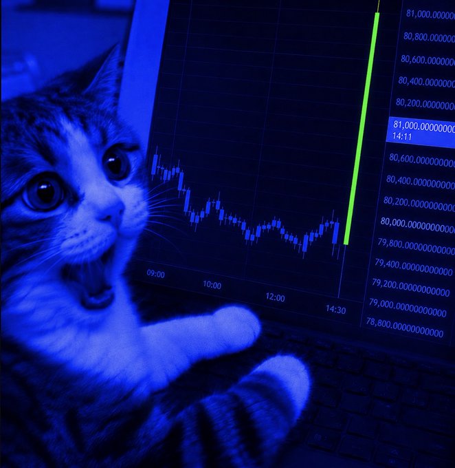 A shocked-looking tabby cat in blue light reaching toward a laptop screen displaying a Bitcoin price chart with a sharp upward green spike.