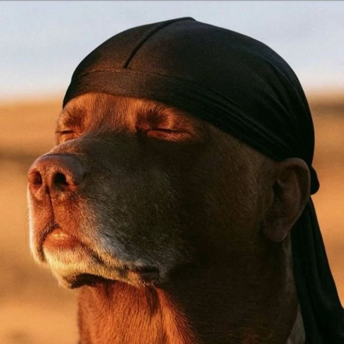 A surreal image of a dog with a human face wearing a black durag, blending human features with canine features against a blurred outdoor background.