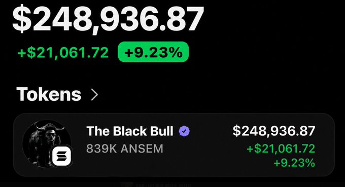 Trading app screen showing $248,936.87 balance, +9.23% gain, with 'The Black Bull' token holding 839K ANSEM worth $248,936.87.