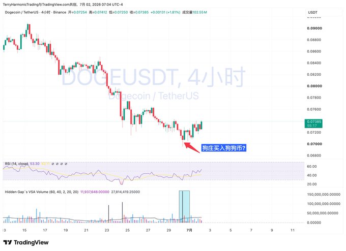A TradingView 4-hour candlestick chart of DOGEUSDT (Dogecoin/TetherUS) on Binance dated July 2, 2026, showing a downtrend with Chinese annotations including '狗庄买入狗狗币?' (Dog whale buying Dogecoin?).