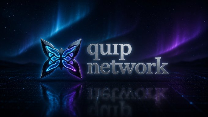A logo for 'quip network' featuring a blue and purple butterfly design against a dark, aurora-lit background.