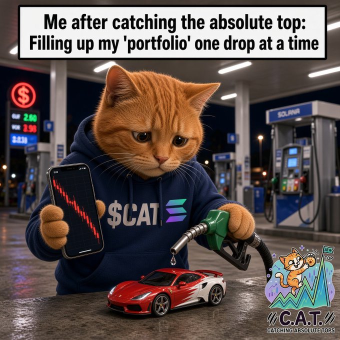 A meme showing an orange cat wearing a '$CATE' hoodie at a Solana gas station, holding a phone with a red declining chart, fueling a red toy car, with the 'C.A.T. Catching Absolute Tops' logo.