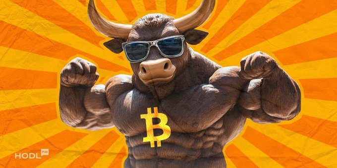 Cryptocurrency promotional graphic showing a muscular bull wearing sunglasses with a gold Bitcoin chain against an orange sunburst background, with HODLFM watermark.