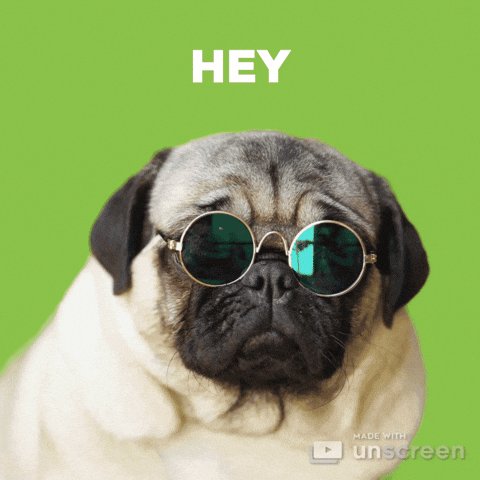 The image features a pug dog wearing sunglasses, giving it an amusing and quirky appearance. The background of the image is green, which complements the pug's eyeshadow-like glasses. The caption below the photo reads "He just wanted to aura farm in your DMs", suggesting that the post was likely created by someone who found the pug's sunglasses and green background humorous or interesting enough to share with others on social media platforms like Unscreen.
