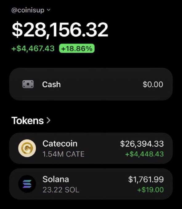 A screenshot of a crypto portfolio app showing a balance of $28,156.32 (+18.86%), including holdings in Catecoin and Solana.