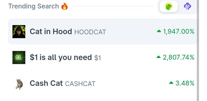 A trending search list shows "Cat in Hood HOODCAT" with a 1,947% increase and "$1 is all you need $1" with a 2,807.74% increase, implying these are the memecoins discussed. The post criticizes other projects for missing out on such gains.