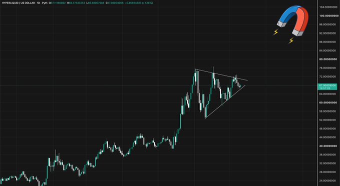 A candlestick chart of HYPEUSD displayed on Bybit's trading platform shows a strong uptrend with a symmetric triangle pattern forming near the $67–$70 range, supporting the bullish forecast that HYPE could reach $100 by July's end. The magnet emoji playfully hints at price being "pulled" toward the $100 target.