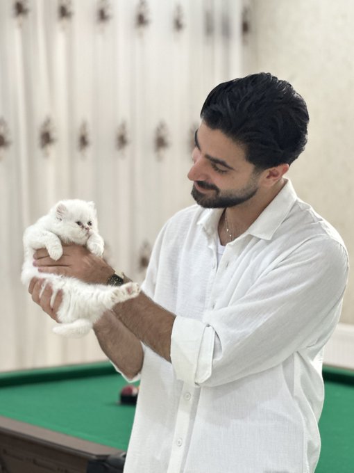 A bearded man in a white shirt stands by a pool table, smiling down at a white kitten he's holding in his hands.