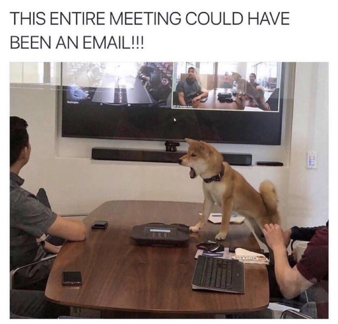 A Shiba Inu dog stands on a conference room table during a video call on a large screen, with people visible on the call. The caption reads "THIS ENTIRE MEETING COULD HAVE BEEN AN EMAIL!!!" and the post jokes that "Floki," the dog, is performing well as "𝕏 CEO," humorously suggesting the dog is more efficient than human executives.