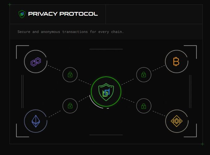 Infographic for 'PRIVACY PROTOCOL' displaying a central shield logo connected to cryptocurrency icons (Polygon, Bitcoin, Ethereum, BNB) with lock icons, promoting 'Secure and anonymous transactions for every chain.'