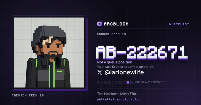 A pixel-art character preview card for 'AROBLOCK' whitelist shows a bearded man with headphones, with card ID 'AB-222671,' tagged '@larionewlife,' and 'PREVIEW PEEK 09 OF 10.'