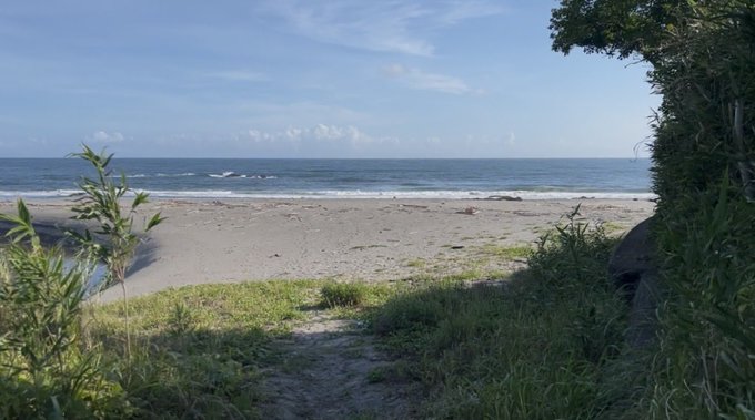 A serene beach scene with a sandy shore, calm ocean waves, and green vegetation framing the view under a clear blue sky.