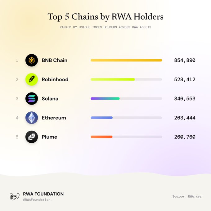 Infographic titled 'Top 5 Chains by RWA Holders' ranked by unique token holders, listing BNB Chain (854,890), Robinhood (528,412), Solana (346,553), Ethereum (263,444), and Plume (260,760), credited to RWA Foundation / RWA.xyz.