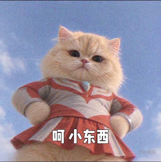 A fluffy orange cat stands heroically against a cloudy sky wearing a red and white armored costume, with Chinese text "呵 小东西" (meaning "Heh, little thing") overlaid at the bottom. The image's confident, almost mocking pose matches the post's playful, teasing tone about Binance co-founder CZ ("小东西" being a familiar term for him) and his repeated comebacks in the crypto world.