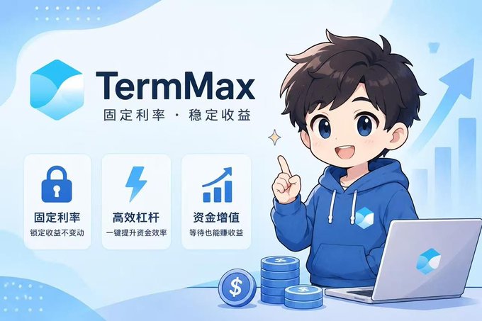 An advertisement for 'TermMax' featuring a blue-haired cartoon character in a hoodie next to a laptop and coins, with Chinese text including 固定利率・稳定收益 and icons highlighting fixed rates, leverage, and capital growth.