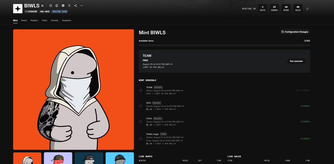 A webpage for 'BIWLS' NFT collection showing 'Mint BIWLS' with a price of 0.35, featuring a cartoon character in a hoodie on an orange background.
