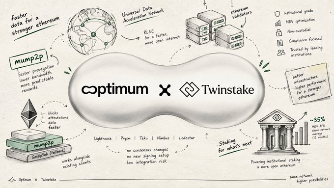 Infographic titled 'optimum x Twinstake' detailing Ethereum staking infrastructure, featuring logos and illustrations of validators, mump2p, and blockchain networks.