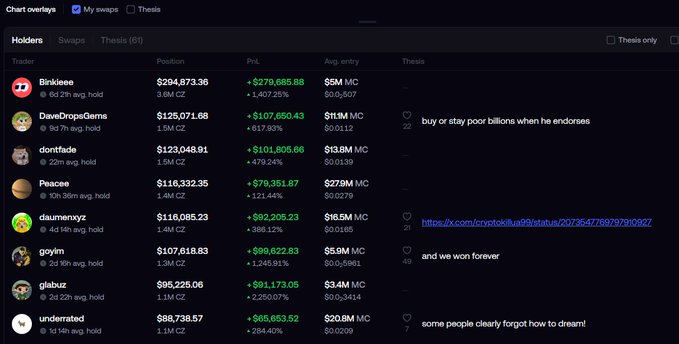 Cryptocurrency trading dashboard listing top holders including Birkieee ($294,873.36 position, +$279,685.88 PNL) and DawDropsGems ($125,071.68, +$107,650.43 PNL).