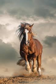 A brown horse with a flowing mane galloping across a dusty field against a dramatic cloudy sky.