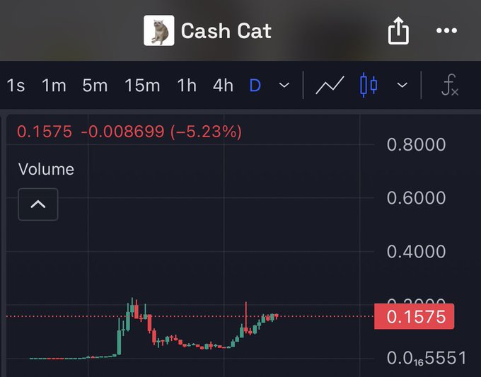 The image shows a daily candlestick chart for the ticker "Cash Cat" (CASHCAT) on a trading platform, with a current price of $0.1575, down 5.23% (-$0.008699), displaying minimal trading volume near the bottom of the scale between $0.1551 and $0.8000. The chart illustrates the volatile, low-priced meme token the poster is speculating on, suggesting a potential 1 billion market cap valuation that could generate significant returns for early Robinhood traders.