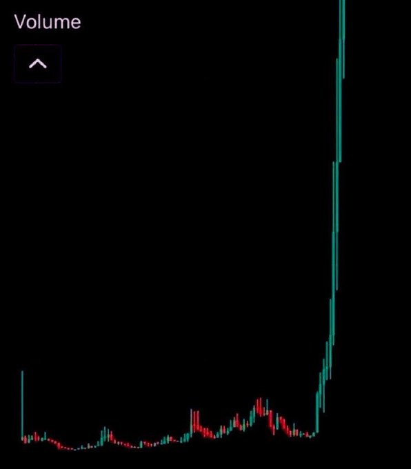 The image shows a trading volume chart on a dark background, featuring mostly flat red and teal bars across the chart with a dramatic vertical spike of teal volume bars on the right side—illustrating the explosive trading activity characteristic of "MEMECOIN SZN" (memecoin season).