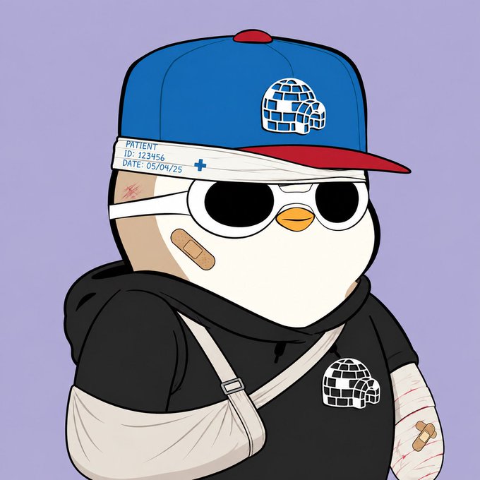 A cartoon penguin character wearing a blue and red cap with an igloo logo, sporting sunglasses, bandages, and a black hoodie featuring the same igloo design, with a patient ID tag reading 'PATIENT ID: 123456 DATE: 05/04/25'.