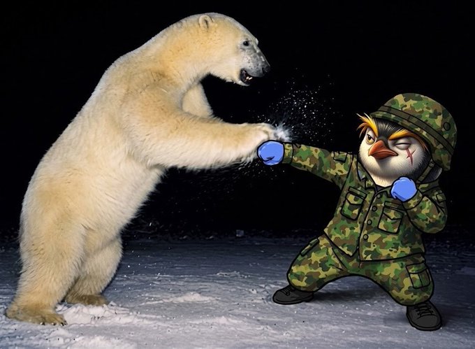 In a dark, snowy setting, a large polar bear stands on its hind legs while a cartoon penguin dressed in military camouflage and blue boxing gloves punches it in the face.