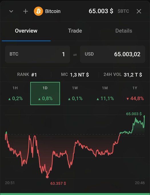 A Bitcoin price tracker app showing BTC at $65,003.02, ranked #1, with a 1D gain of 0.8% and a red/green price chart.