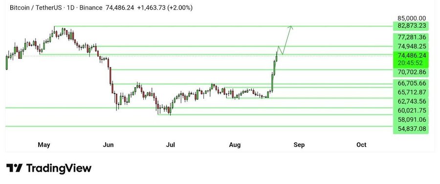 A TradingView daily candlestick chart of Bitcoin/TetherUS on Binance showing price at 74,486.24 (+2.00%), with Fibonacci-style horizontal levels marked from 54,837.08 to 85,000.00.