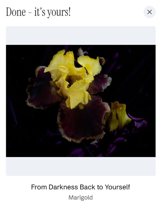 A confirmation screen showing 'Done - it's yours!' for an NFT titled 'From Darkness Back to Yourself' by Marigold, featuring a close-up image of a yellow and dark maroon iris flower.