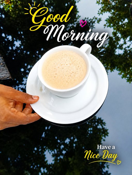 A hand holds a white cup of cappuccino on a saucer with 'Good Morning' and 'Have a Nice Day' text overlaid, set against a background of trees and sky.