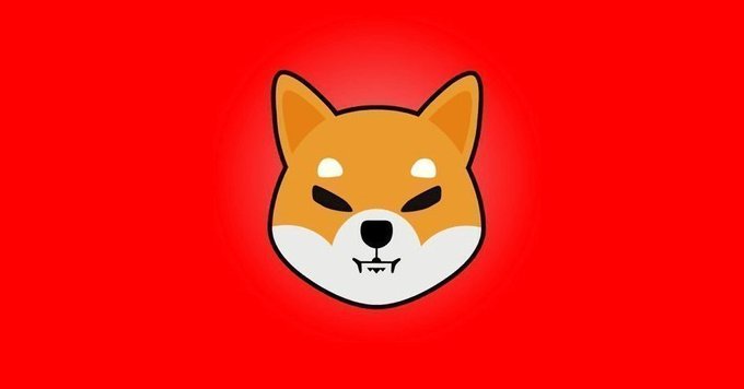 A cartoon-style illustration of a Shiba Inu dog's face with a sly expression on a bright red background.
