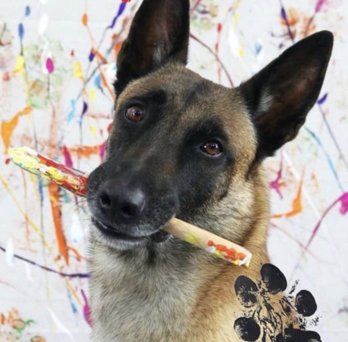 The image features a brown dog holding a stick with its mouth. The background consists of splattered paint, which appears to be an abstract art style. The caption below the photo reads "And so it begins... Quid, Hollow, Monkee Seedoo, SMeta and I spent hours every day bag working the first version of Monkey on pump..."