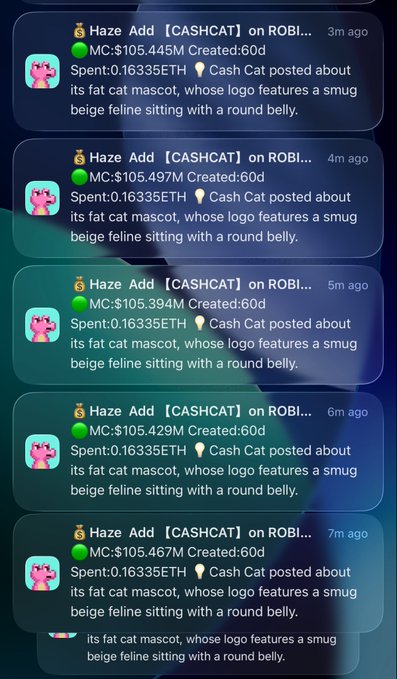 A cryptocurrency tracking interface displays multiple entries for 'Haze Add [CASHCAT] on ROBI' transactions, each showing a market cap around $105 million, created 60 days ago, with 0.16335 ETH spent and noting 'Cash Cat posted about its fat cat mascot, whose logo features a smug beige feline sitting with a round belly.'