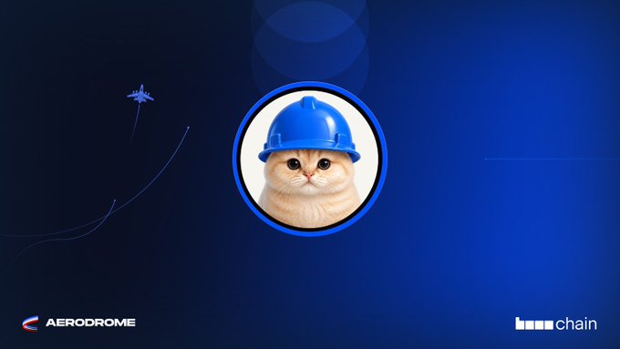 A promotional graphic for AERODROME featuring a cat wearing a blue construction helmet in the center, with the aerodrome and base chain logos in the bottom corners on a dark blue background.