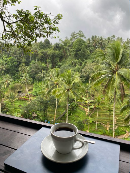 A cup of coffee is pictured against a scenic backdrop of lush green rice terraces in Bali, illustrating the aspirational destination for the proposed $100 vacation plan.
