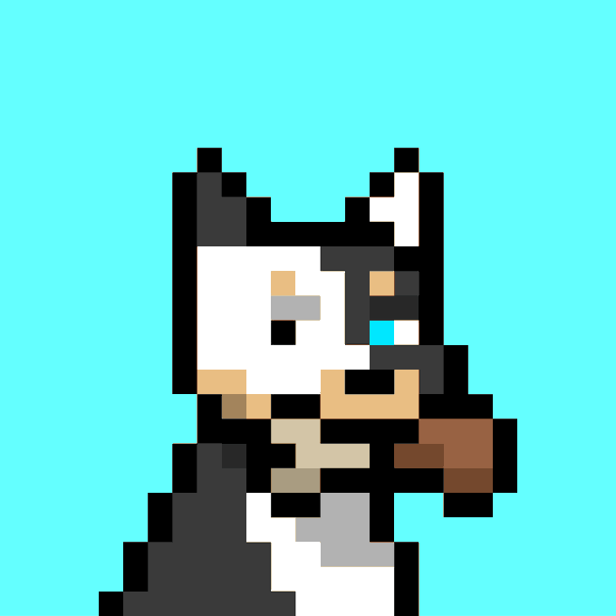 Pixel art of a black and white cat character against a solid turquoise background.