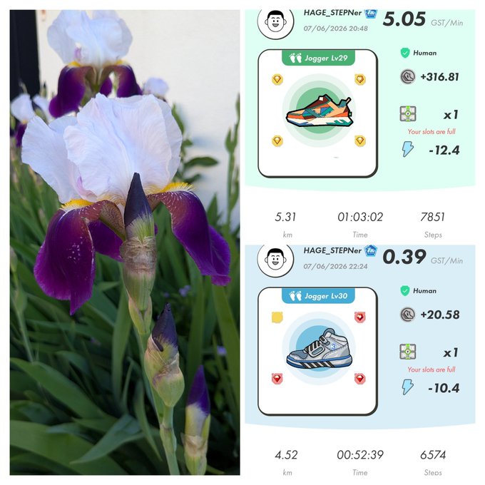 The image shows two different types of irises, each with their own information about them displayed on a separate screen. The first iris has a purple color and is located towards the left side of the frame. On the other hand, the second iris has a white color and can be found in the right portion of the image. The post in front of these two images is talking about an activity, possibly related to fitness or outdoor activities, with the word "Step" visible on both screens. There are also some coins scattered around the image, indicating that they might have been collected during a previous outing by someone who enjoys exploring nature.