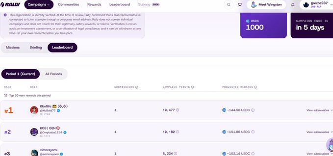A Rally creator campaigns leaderboard showing the top earners, with 'Kboffin' in first place with 18,477 campaign points and projected rewards of 144.58 USDC.